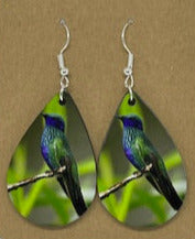Blue and Green Hummingbird Dangle Earrings